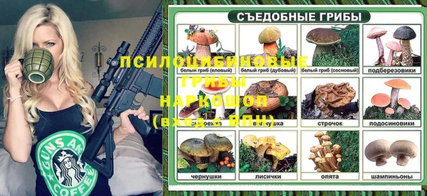 шишки Ельня