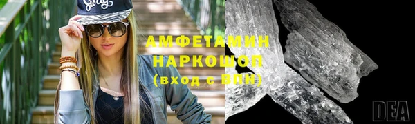 шишки Ельня