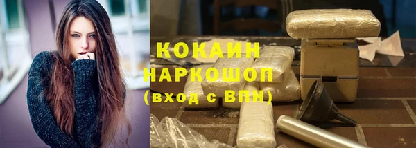 шишки Ельня