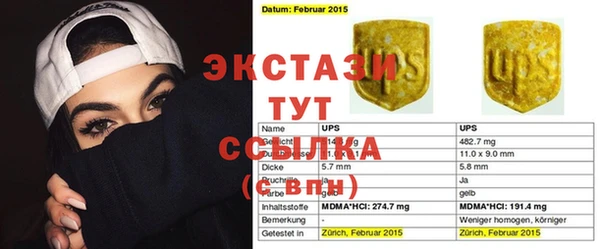 шишки Ельня