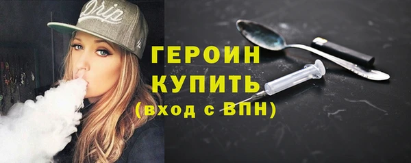шишки Ельня