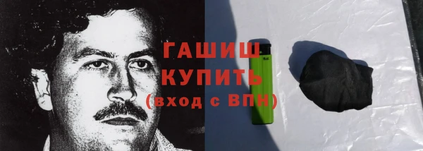 шишки Ельня