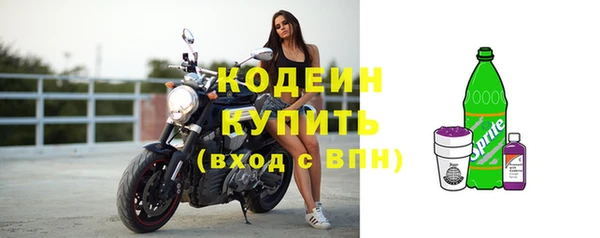 шишки Ельня