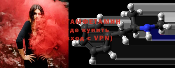 шишки Ельня