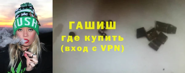 шишки Ельня