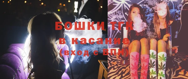 шишки Ельня