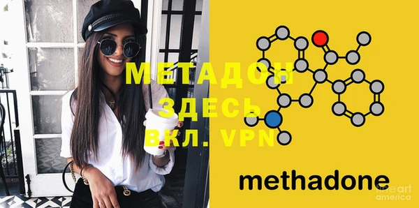 шишки Ельня