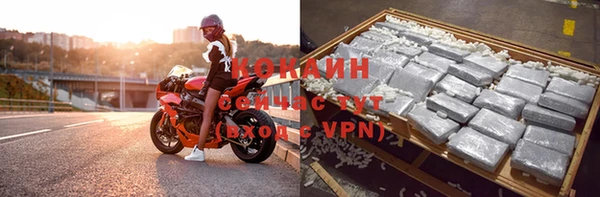 шишки Ельня