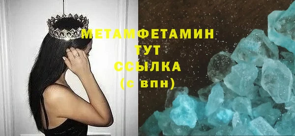 шишки Ельня