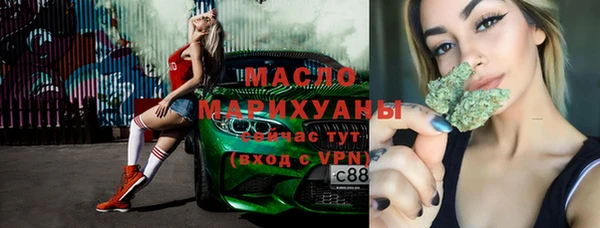 шишки Ельня