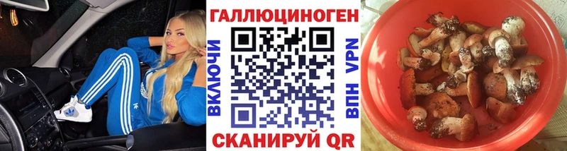 Псилоцибиновые грибы Psilocybine cubensis  Каменск-Шахтинский 